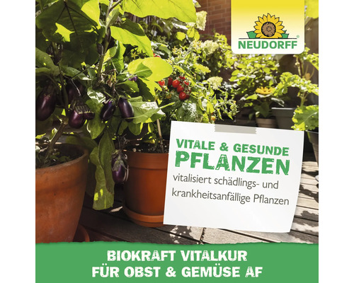 Gemüsegarten mit Auberginen, Tomaten und Neudorff Logo für Biokraft Vitalkur