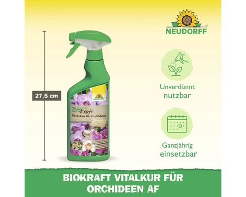 Neudorff Biokraft Vitalkur für Orchideen, 27,5 cm