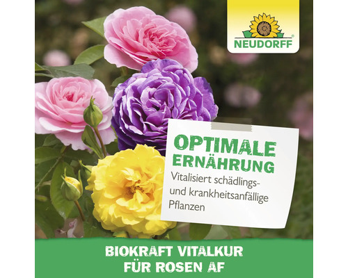 Mehrfarbige Rosen mit Notiz und Neudorff Logo. Auf der Notiz steht: Optimale Ernährung. Biokraft Vitalkur für Rosen AF.
