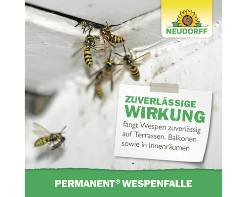 Wespenfalle mit Wespen und Neudorff Logo für den Aussenbereich