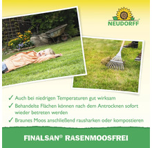 Finalsan Rasenmoosfrei Produktabbildung mit Kind auf Rasen und Rasenrechen im Einsatz sowie Neudorff Logo.