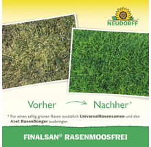 Vorher Nachher Vergleich eines Rasens mit Moosbefall nach der Behandlung mit einem Rasenmoosentferner von Neudorff
