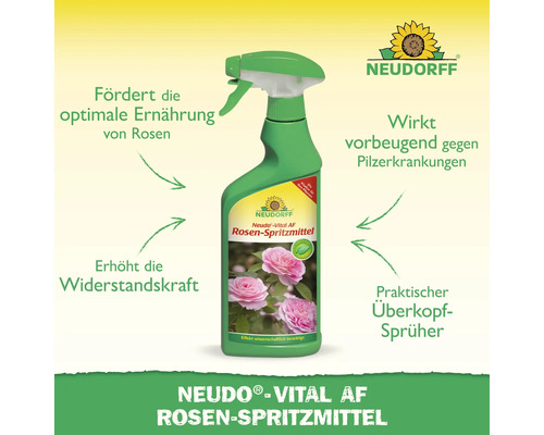 Neudorff Neudo-Vital AF Rosenspray zur Rosenpflege