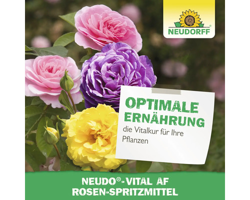 Neudorff Logo mit Rosen und dem Text Optimale Ernährung für Rosen-Spritzmittel