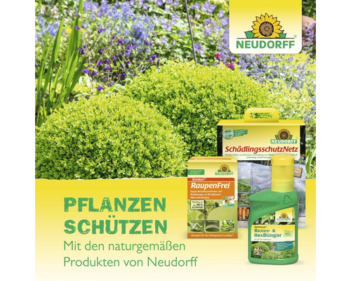 Neudorff Pflanzenschutzprodukte im Gartenbeet: Schädlingsschutznetz, Raupenfrei Xentari und Buxus Ilex Dünger.