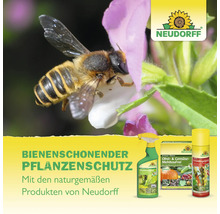 Schädlingsfei Spray Neudorff Orchid Spruzit 300 ml