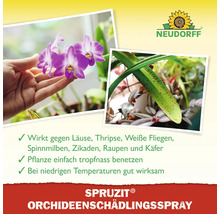Schädlingsfei Spray Neudorff Orchid Spruzit 300 ml