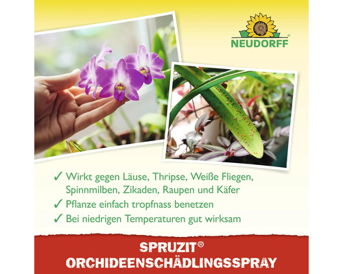 Anwendung von Sprays gegen Schädlinge an Orchideen dargestellt, Neudorff Logo