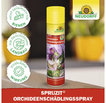 Schädlingsfei Spray Neudorff Orchid Spruzit 300 ml