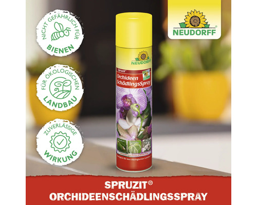 Spruzit Orchideenschädlingsspray in einer Spraydose. Nicht gefährlich für Bienen. Geeignet für den ökologischen Landbau. Zuverlässige Wirkung. Neudorff Logo.