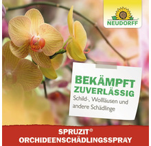Schädlingsfei Spray Neudorff Orchid Spruzit 300 ml