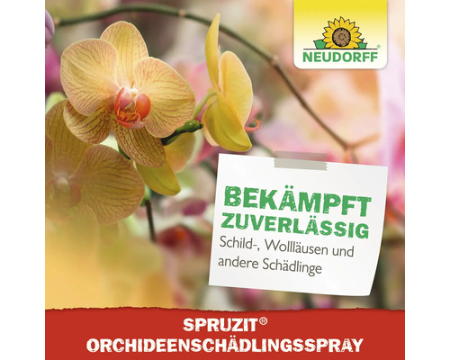 Neudorff Logo. Spritzmittel gegen Schildläuse, Wollläuse und andere Schädlinge für Orchideen.