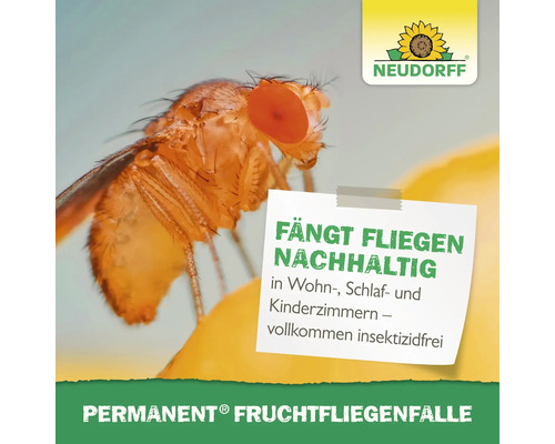 Nahaufnahme einer Fruchtfliege und eines Hinweises auf eine Permanent Fruchtfliegenfalle von Neudorff