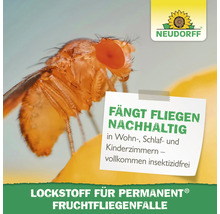 Nahaufnahme einer Fruchtfliege neben dem Hinweisschild: Fängt Fliegen nachhaltig in Wohn-, Schlaf- und Kinderzimmern – vollkommen insektizidfrei. Lockstoff für Permanent Fruchtfliegenfalle. Neudorff Logo.