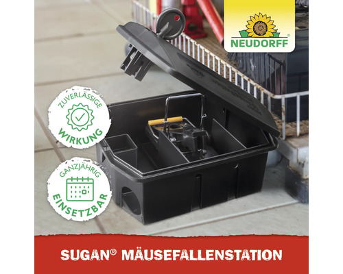 Sugan Mäusefallenstation mit geöffnetem Deckel und Mausefalle