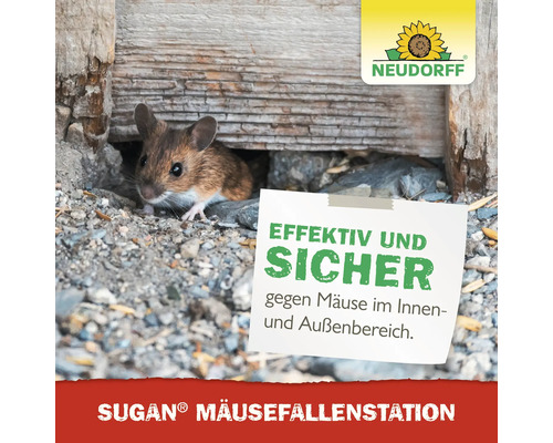 Eine Maus vor einem Loch und ein Hinweis auf eine Mausefallenstation