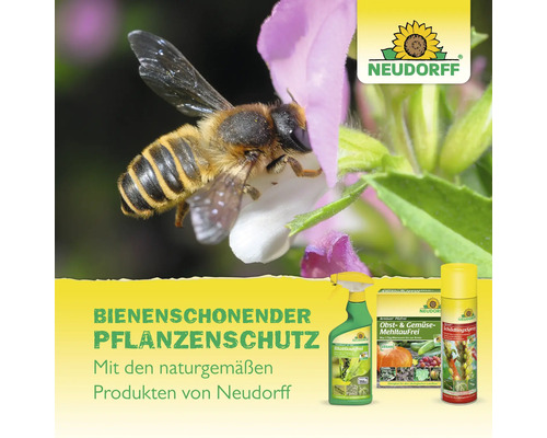 Bienenschonender Pflanzenschutz von Neudorff mit Logo und einer Biene auf einer Blüte