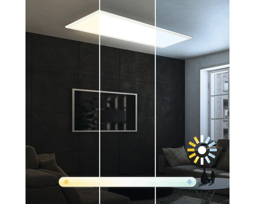 Salon avec plafonnier et contrôle de la température de couleur