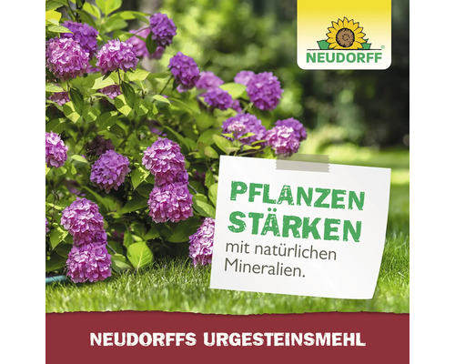 Neudorffs Urgesteinsmehl zur Pflanzenstärkung mit natürlichen Mineralien neben einer blühenden Pflanze