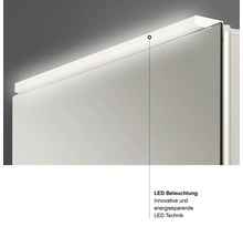 Spiegelschrank DSK Aluminio 50 x 13,1 x 60 cm alufarben 1-türig LED IP 24