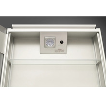 Spiegelschrank DSK Aluminio 50 x 13,1 x 60 cm alufarben 1-türig LED IP 24