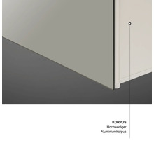Spiegelschrank DSK Aluminio 50 x 13,1 x 60 cm alufarben 1-türig LED IP 24