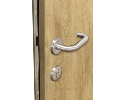 Porte avec poignée de porte et serrure