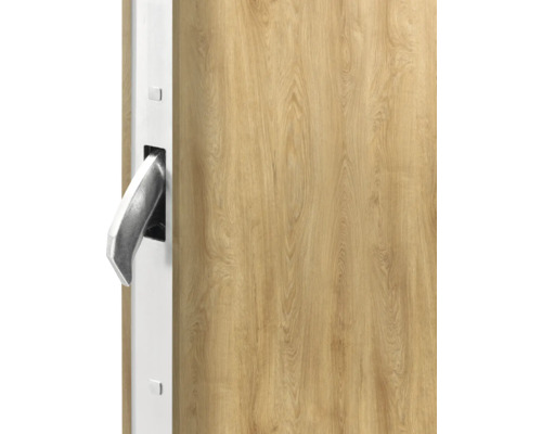 Vue détaillée d''une porte d''entrée avec aspect bois et poignée argentée