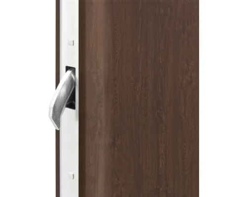 Detailansicht einer Holztür mit silberfarbenem Griff