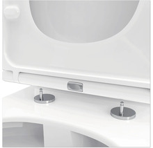 Detailansicht eines Toilettendeckels mit Absenkautomatik und Befestigung
