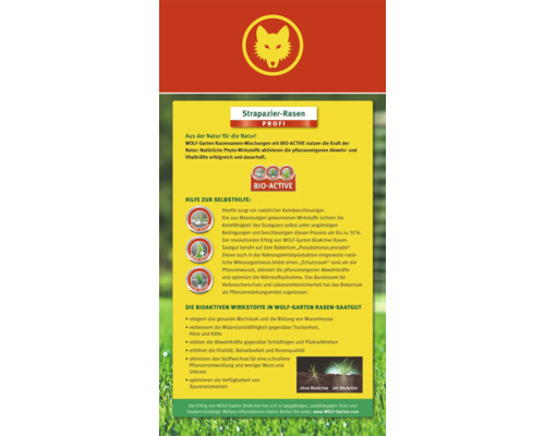 Informations sur le gazon de jeu Wolf Garten Profi