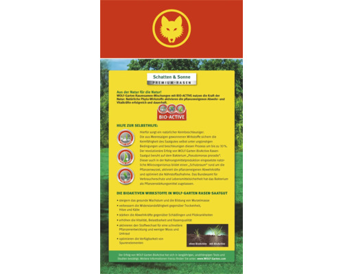 Informations sur les semences de gazon Wolf Garten Premium Ombre et soleil avec Bio-Active
