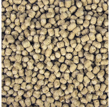 Nahaufnahme von Fischfutterpellets