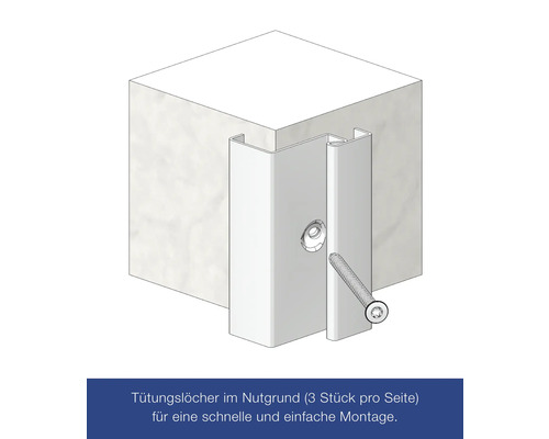 Illustration einer Eckschutzschiene mit Schraube zur Montage