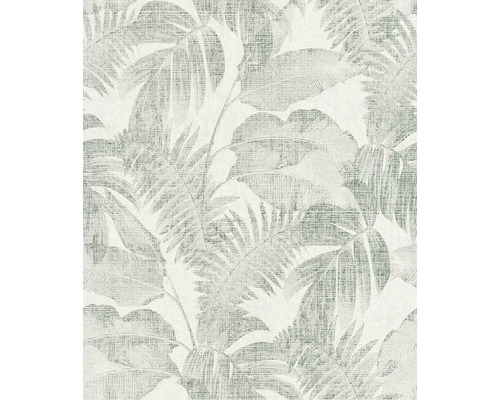 Papier peint avec motif de feuilles tropicales