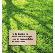 Grünfläche mit dem Hinweis zur Neuanlage von Rasenflächen im Schatten