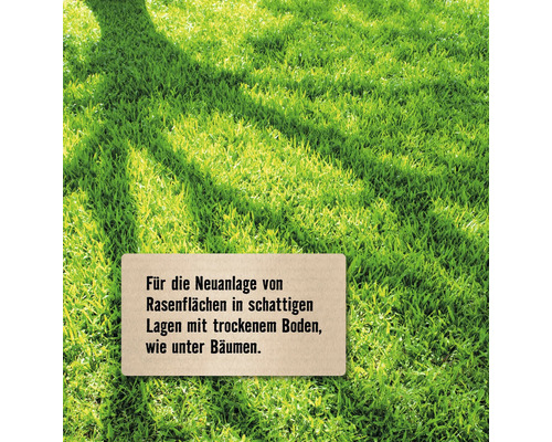 Grünfläche mit dem Hinweis zur Neuanlage von Rasenflächen im Schatten