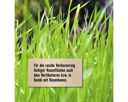 Frisches grünes Gras mit Hinweisschild zur schnellen Verbesserung lückiger Rasenflächen