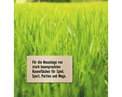 Grünfläche mit Text für die Neuanlage von Rasenflächen für Spiel, Sport, Parties und Wege