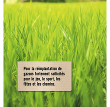 Graines pour le réensemencement des pelouses fortement sollicitées pour le jeu, le sport, les fêtes et les chemins