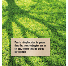 Surface verte avec une note sur le réensemencement de gazon dans les zones ombragées sur un sol sec