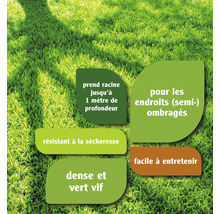 Informations sur les caractéristiques du gazon : s''enracine jusqu''à 1 m de profondeur, adapté aux endroits semi-ombragés, résistant à la sécheresse, facile à entretenir, dense et vert vif.