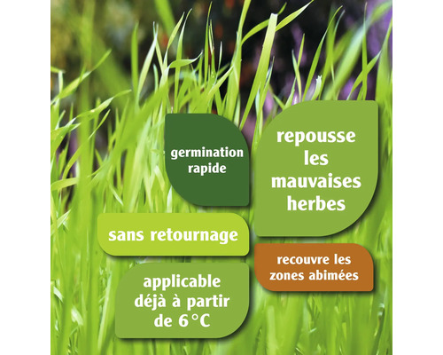 Gros plan d''herbe avec des informations sur la germination rapide, la lutte contre les mauvaises herbes, l''applicabilité à partir de 6 degrés et la couverture des zones endommagées