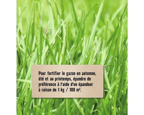 Surface d''herbe avec des instructions d''entretien de la pelouse