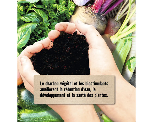 Mains tenant de la terre avec des légumes en arrière-plan