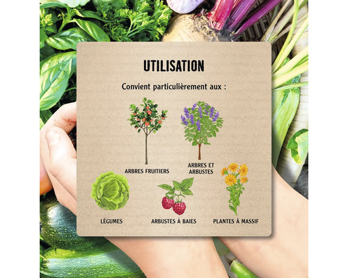 Illustration d''utilisation avec arbres fruitiers, arbres et arbustes, légumes, arbustes à baies et plantes de massif
