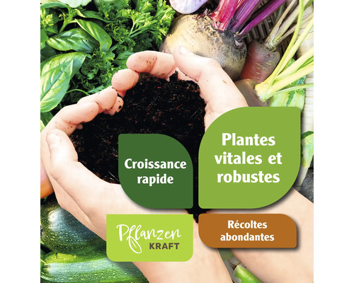 Terre dans les mains avec des légumes et le logo Pflanzenkraft