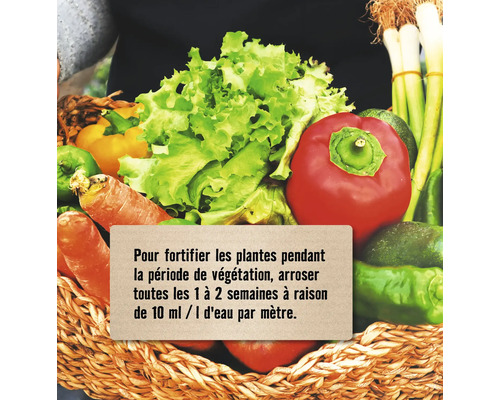 Panier de légumes et note pour renforcer les plantes pendant la période de végétation