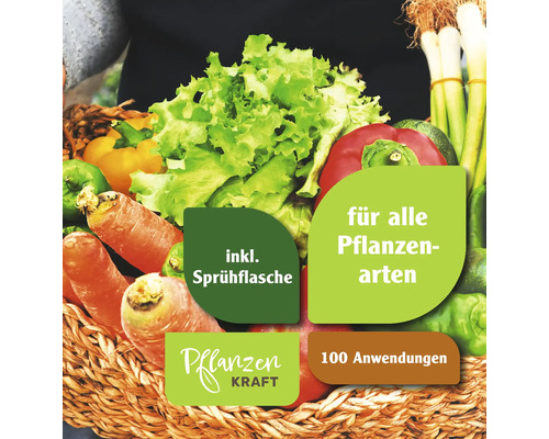 Gemüsekorb mit Hinweis auf Pflanzenschutzmittel inklusive Sprühflasche für alle Pflanzenarten und 100 Anwendungen