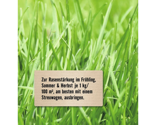 Informationen zur Rasenstärkung im Frühling, Sommer und Herbst